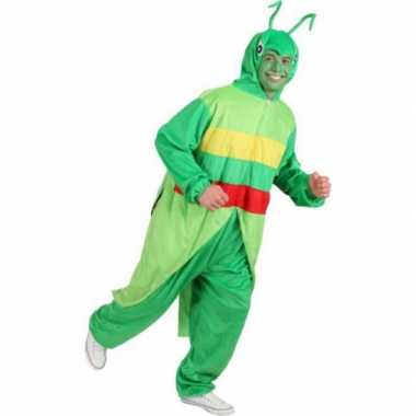 Originele  Sprinkhaan carnavalskleding volwassenen
