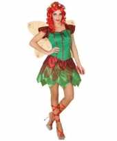 Originele toverfee elfen carnavalskleding verkleed carnavalskleding dames